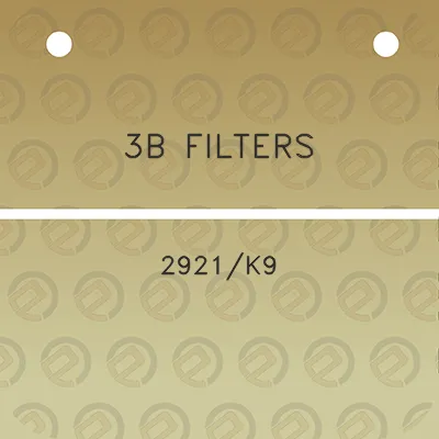 3b-filters-2921k9