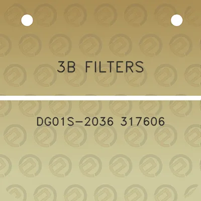 3b-filters-dg01s-2036-317606