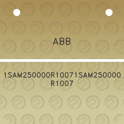 abb-1sam250000r10071sam250000r1007