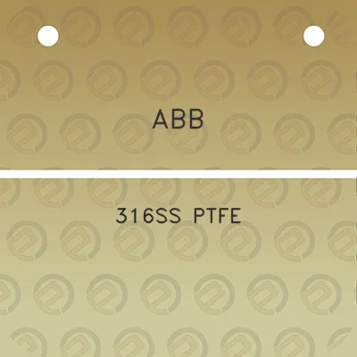 abb-316ss-ptfe