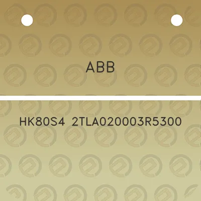 abb-hk80s4-2tla020003r5300