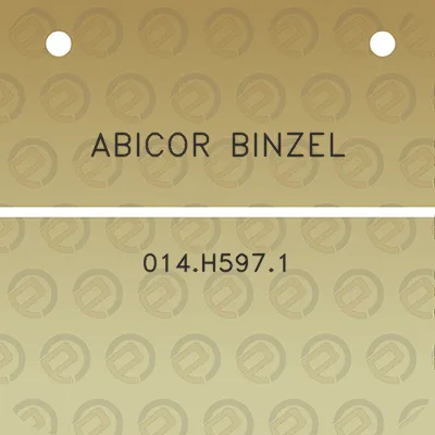 abicor-binzel-014h5971