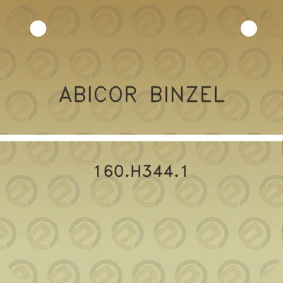 abicor-binzel-160h3441