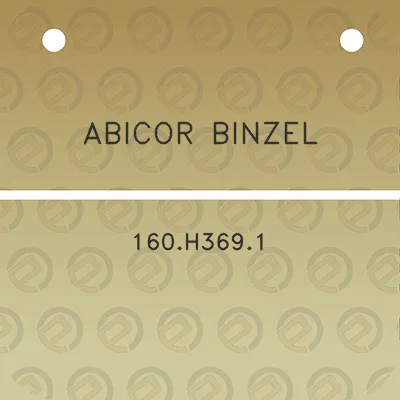 abicor-binzel-160h3691