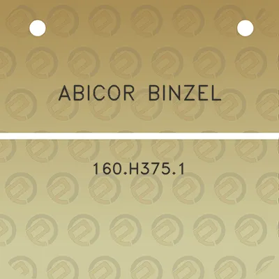 abicor-binzel-160h3751