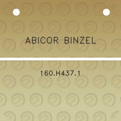 abicor-binzel-160h4371