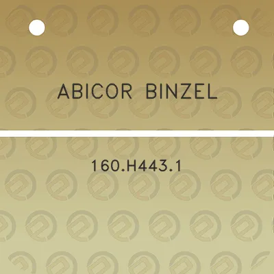 abicor-binzel-160h4431