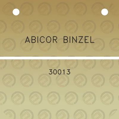 abicor-binzel-30013