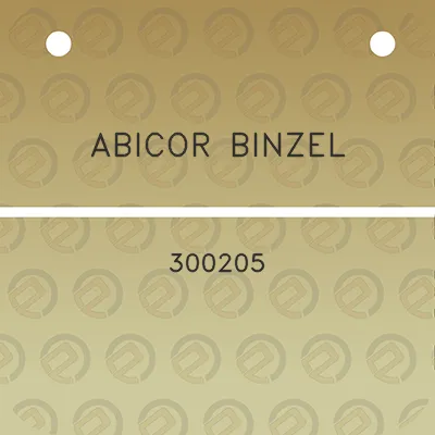 abicor-binzel-300205