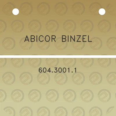 abicor-binzel-60430011