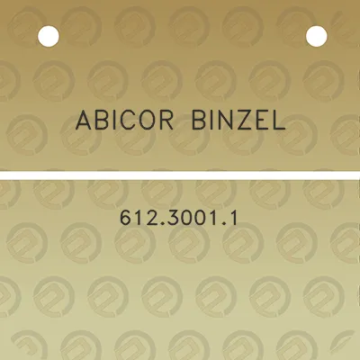 abicor-binzel-61230011