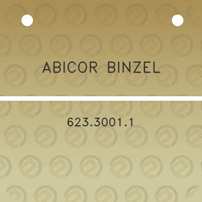 abicor-binzel-62330011