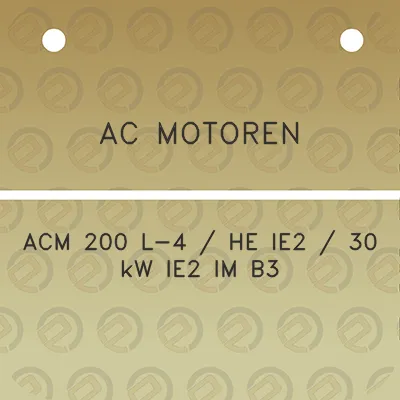 ac-motoren-acm-200-l-4-he-ie2-30-kw-ie2-im-b3