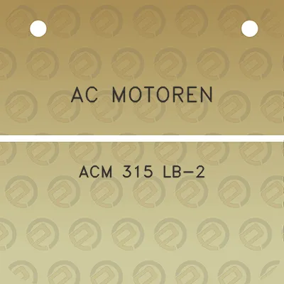 ac-motoren-acm-315-lb-2