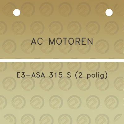 ac-motoren-e3-asa-315-s-2-polig