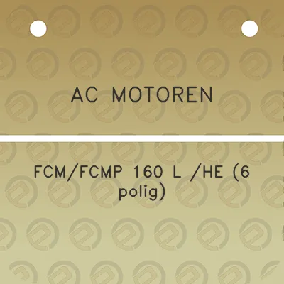 ac-motoren-fcmfcmp-160-l-he-6-polig