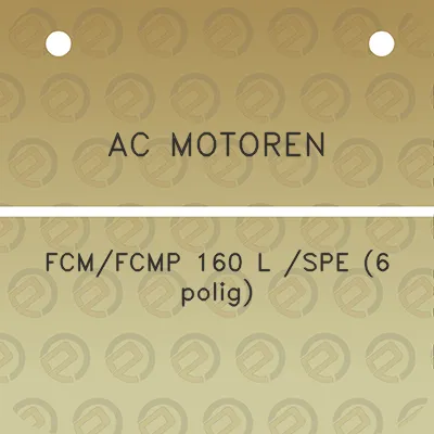 ac-motoren-fcmfcmp-160-l-spe-6-polig