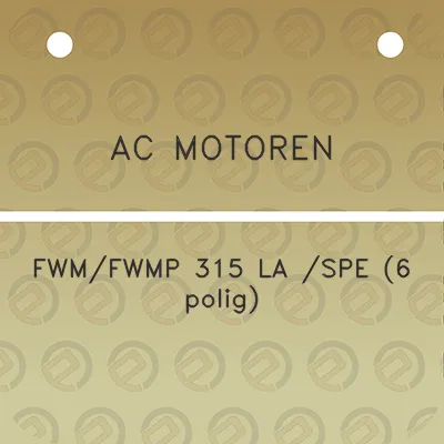 ac-motoren-fwmfwmp-315-la-spe-6-polig