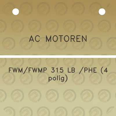 ac-motoren-fwmfwmp-315-lb-phe-4-polig