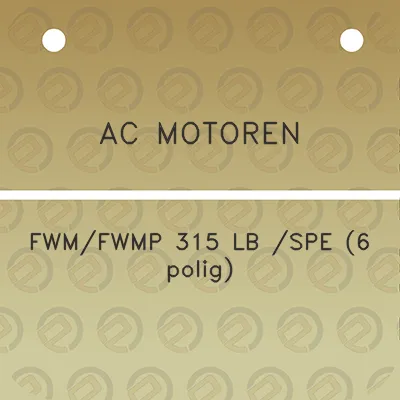 ac-motoren-fwmfwmp-315-lb-spe-6-polig