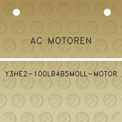 ac-motoren-y3he2-100lb4b5moll-motor