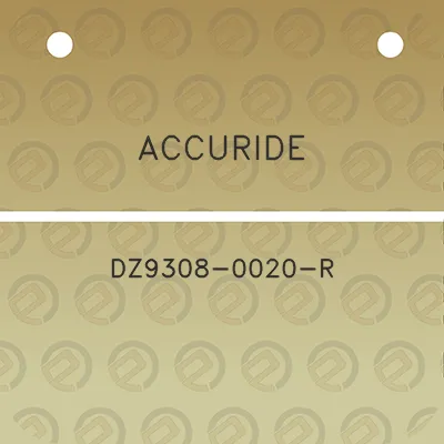 accuride-dz9308-0020-r