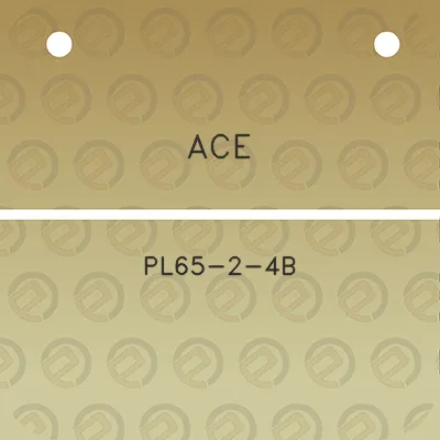 ace-pl65-2-4b