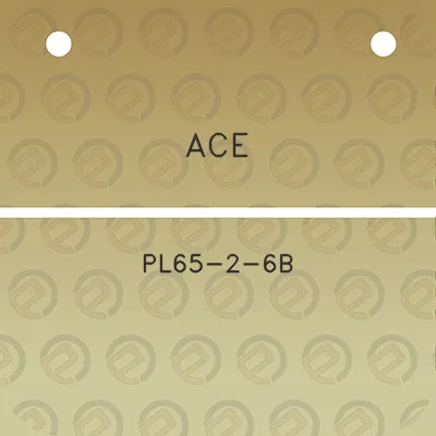 ace-pl65-2-6b