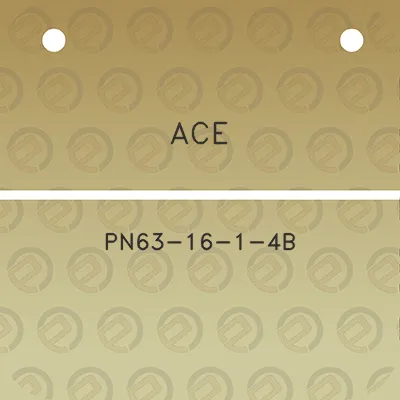 ace-pn63-16-1-4b