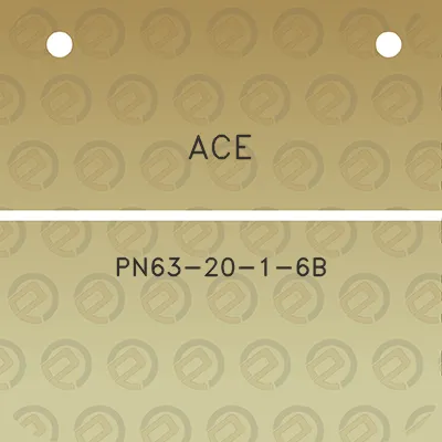 ace-pn63-20-1-6b