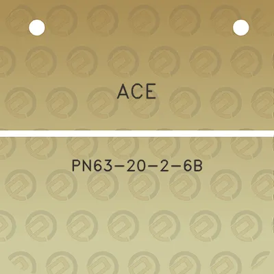 ace-pn63-20-2-6b