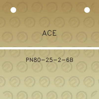 ace-pn80-25-2-6b