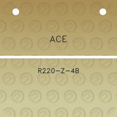 ace-r220-z-4b