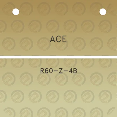 ace-r60-z-4b