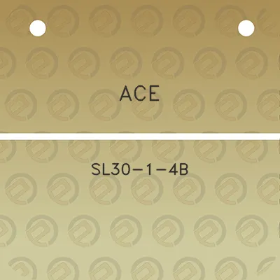 ace-sl30-1-4b