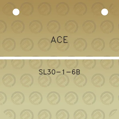 ace-sl30-1-6b