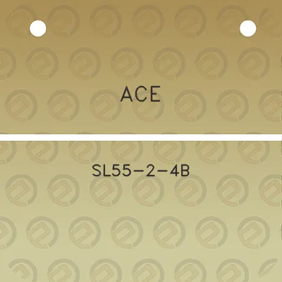 ace-sl55-2-4b