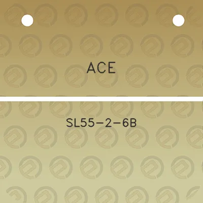 ace-sl55-2-6b