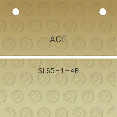 ace-sl65-1-4b