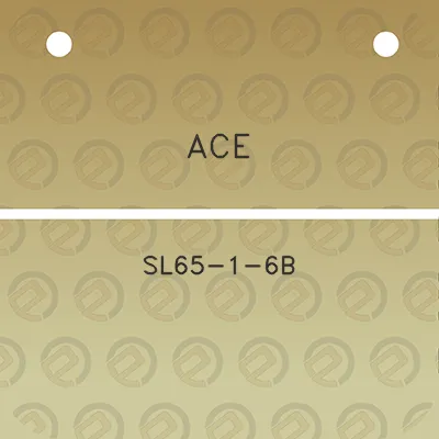 ace-sl65-1-6b