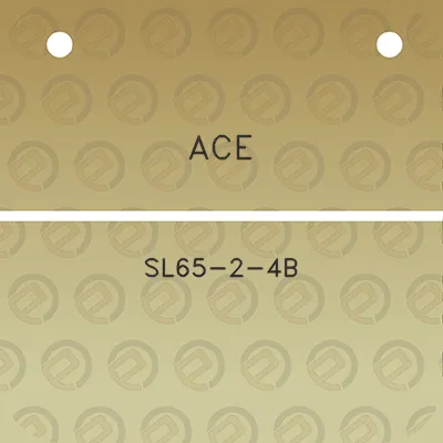 ace-sl65-2-4b