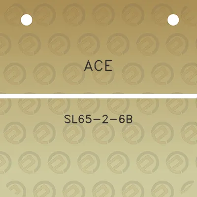 ace-sl65-2-6b