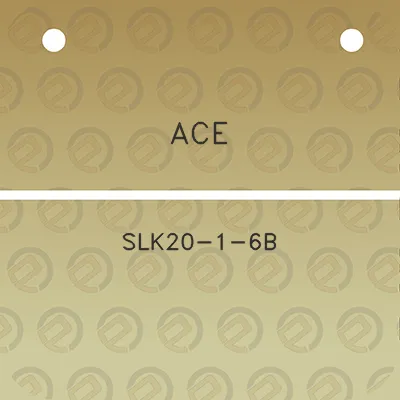 ace-slk20-1-6b