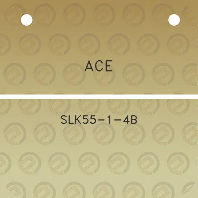 ace-slk55-1-4b