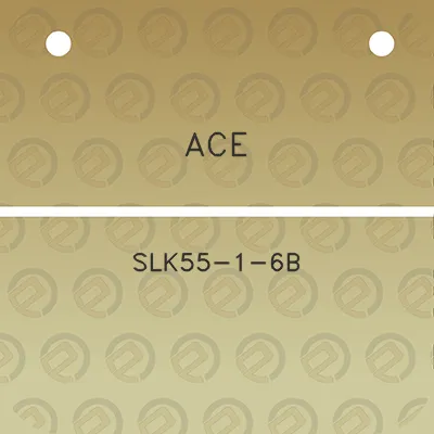 ace-slk55-1-6b