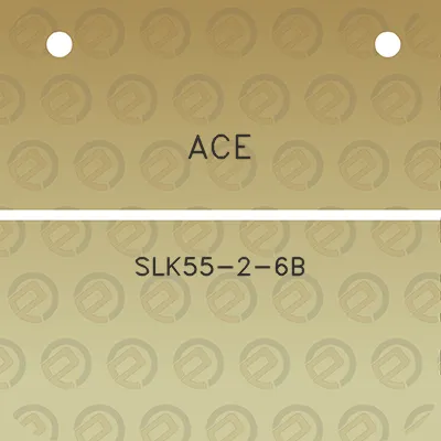 ace-slk55-2-6b