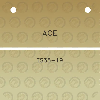 ace-ts35-19