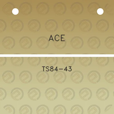 ace-ts84-43