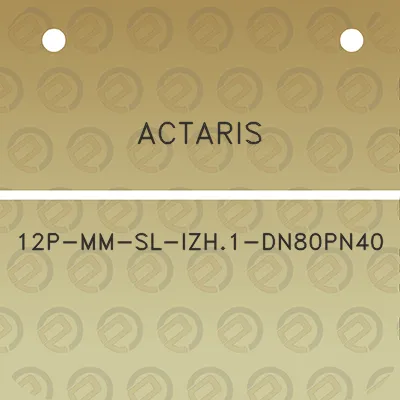 actaris-12p-mm-sl-izh1-dn80pn40