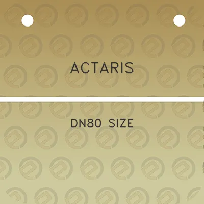 actaris-dn80-size